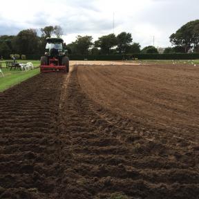 Laying new lawns (photo Ray Hall)
