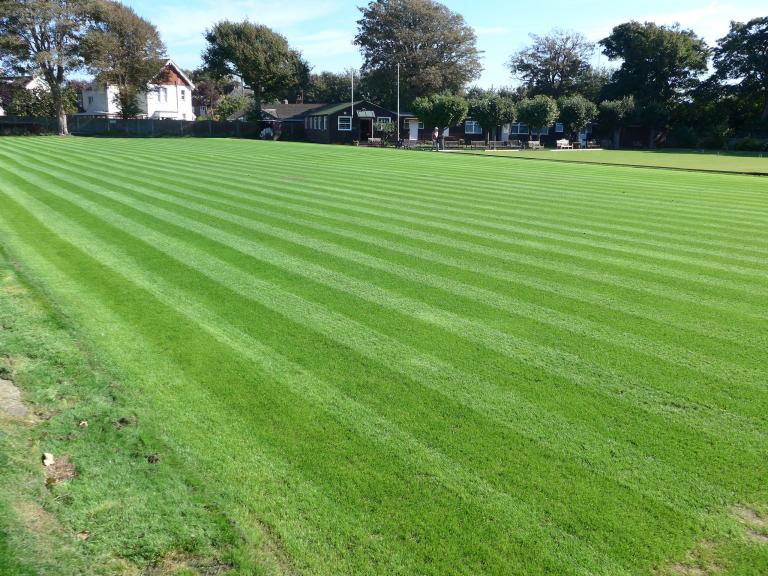 Laying new lawns: Week 3, 4th cut (photo Ray Hall)