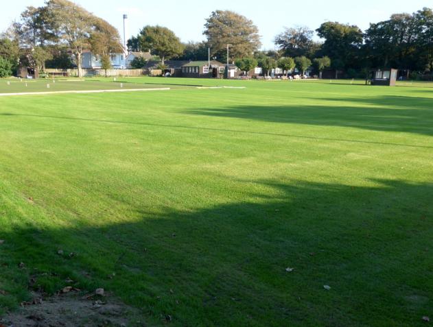 Laying new lawns: Lawn 9 after 4 weeks (photo Ray Hall)