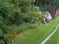 Summer tournament: Club flowerbeds in bloom