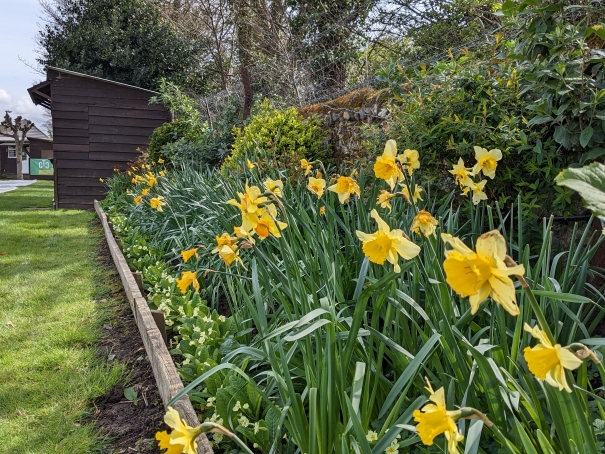 Spring border