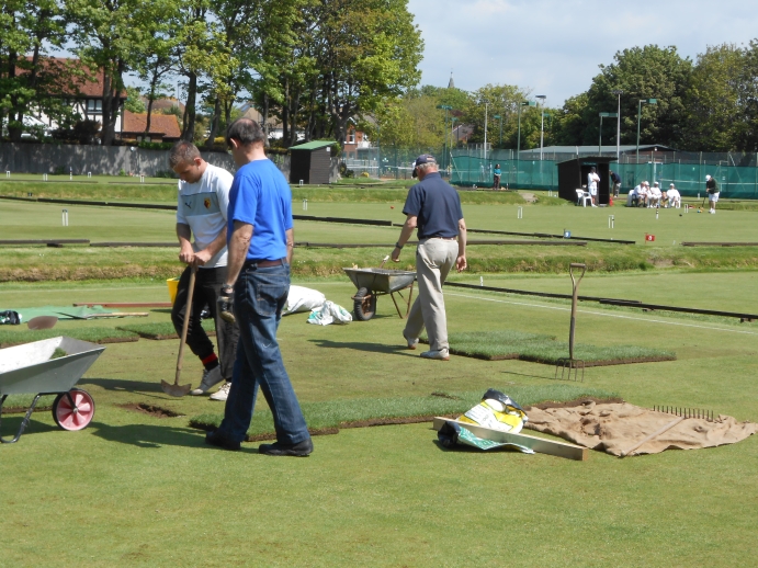 partial re-laying of Lawn 6, 2014